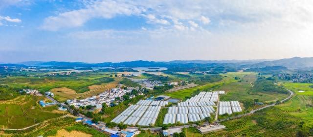 乡镇冷门暴利生意有哪些？乡镇7个暴利生意-阿灿学库