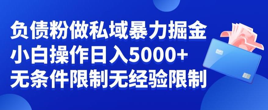 负债粉私域暴力掘金,新手操作入5000,无经验限制,无条件限制-阿灿学库