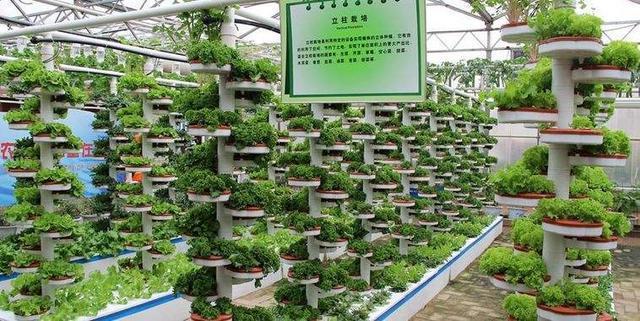 家庭办厂有哪些好项目(在家办厂好项目推荐) 家庭办厂有哪些好项目(在家办厂好项目推荐)