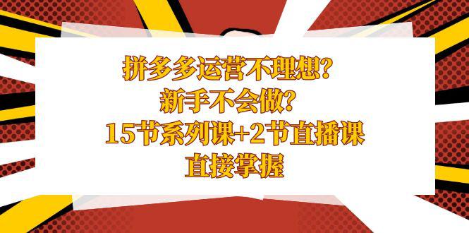 拼多多运营课程，新手不会做？15节系列课+2节直播课，直接掌握-阿灿学库