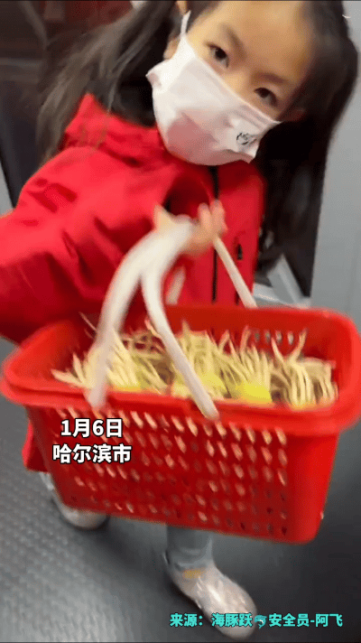 贵州“小折耳根”抵达哈尔滨,网友:豆腐脑不光加糖还加折耳根-阿灿学库