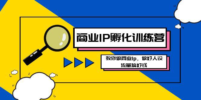 打造商业IP-孵化训练营新版，学会做商业Ip，做好人设，流量搞好钱-阿灿学库