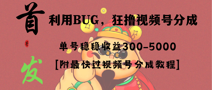 全网独家首发，视频号BUG，超短期项目，单号每日净收益300-5000！-阿灿学库
