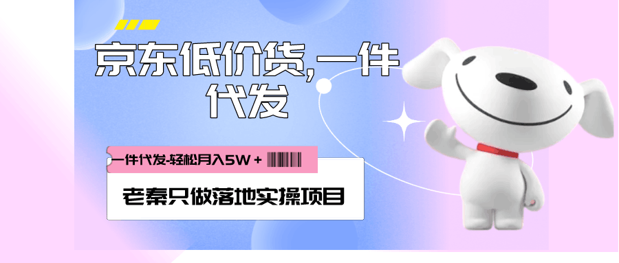 每天20分钟打理京东低价货,一件代发-轻松月入5W＋-阿灿学库