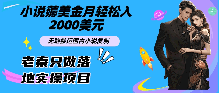 小说薅美金月轻松入2000美元项目、无脑搬运国内小说复制粘贴到国外、傻瓜式操作-阿灿学库