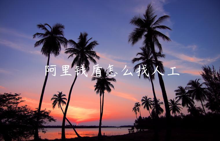 阿里钱盾24小时人工客服电话-阿里问答电商问答-阿灿学库