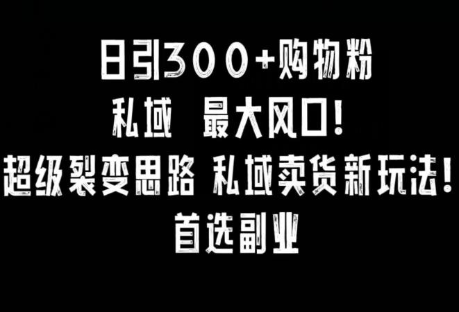 每日引300 购物粉,超级裂变新思路,私域卖货新玩法,小红书首选副业 每日引300 购物粉,超级裂变新思路,私域卖货新玩法,小红书首选副业