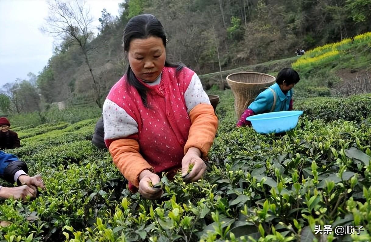 姚洋:女性50岁退休是不对的,难道要跳40年广场舞? 姚洋:女性50岁退休是不对的,难道要跳40年广场舞?