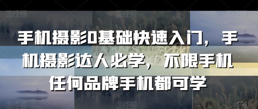 手机摄影0基础快速入门，手机摄影达人必学，不限手机任何品牌手机都可学-阿灿学库