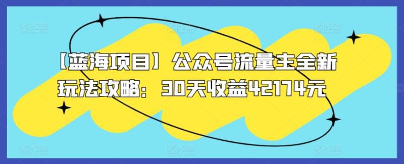 【蓝海领域】公众号流量主全新玩法攻略:30天收益42174元【揭秘】-阿灿学库
