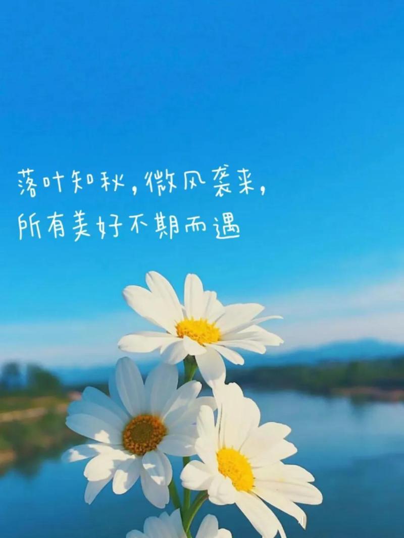 2024利润很吓人的冷门生意,普通人狠赚的一些冷门行业 2024利润很吓人的冷门生意,普通人狠赚的一些冷门行业