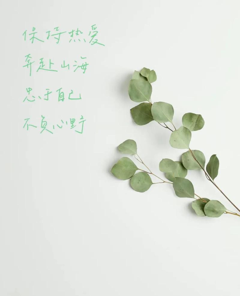 2024利润很吓人的冷门生意,普通人狠赚的一些冷门行业 2024利润很吓人的冷门生意,普通人狠赚的一些冷门行业