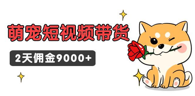 东哲日记·萌宠短视频带货，2天佣金9000+-阿灿学库