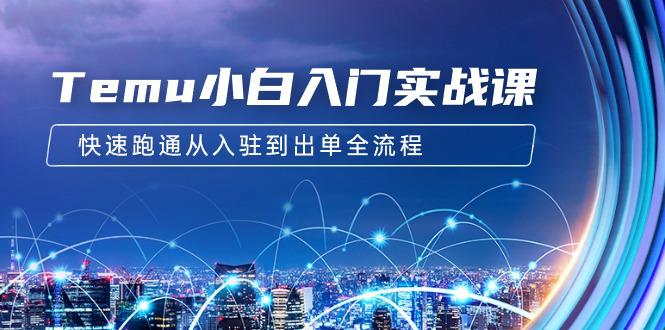 Temu小白入门实战课:跨境拼多多电商培训 快速跑通从入驻到出单全流程-12节-阿灿学库