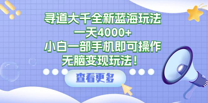 寻道大千全新蓝海玩法，一天4000+，小白一部手机即可操作，无脑变现玩法！-阿灿学库