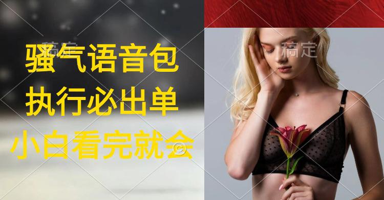 执行就出单,日入2000+,超火骚气语音包,小白看完课程就能马上实操-阿灿学库