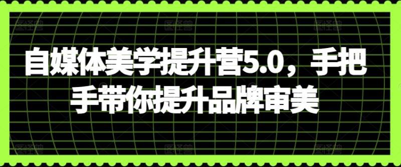 自媒体美学提升训练营5.0，手把手带你提升品牌审美-阿灿学库
