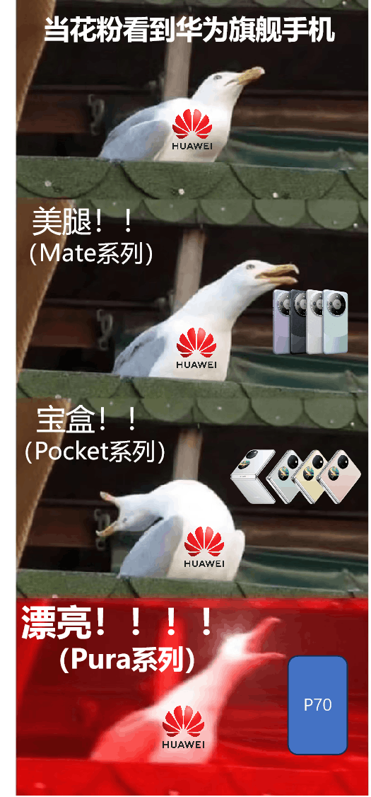 华为P70手机改名称Pura 70,网友:Pura什么意思,怎么读? 华为P70手机改名称Pura 70,网友:Pura什么意思,怎么读?