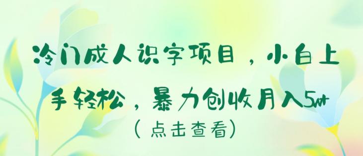 冷门项目成人识字,新手小白上手轻松,暴力创收月入5W 【揭秘】 冷门项目成人识字,新手小白上手轻松,暴力创收月入5W 【揭秘】