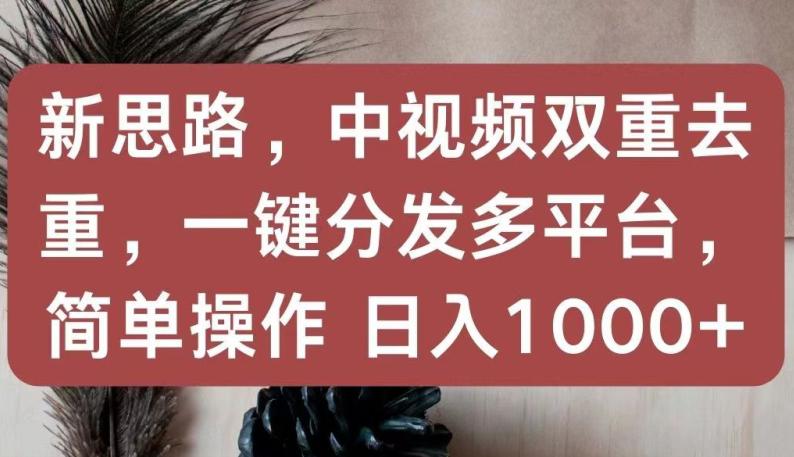 新思路，中视频双重去重，一键分发多平台，简单操作，日入1000+【揭秘】 -1