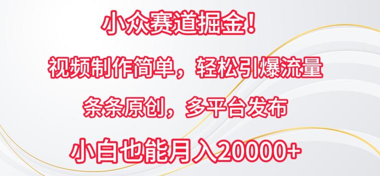 小众赛道掘金,原创视频制作简单,条条轻松引爆流量,多平台发布【揭秘】 -1 小众赛道掘金,原创视频制作简单,条条轻松引爆流量,多平台发布【揭秘】 -1