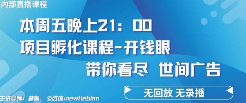 4.26日内部回放课程《项目孵化-开钱眼》赚钱的底层逻辑【揭秘】 -1