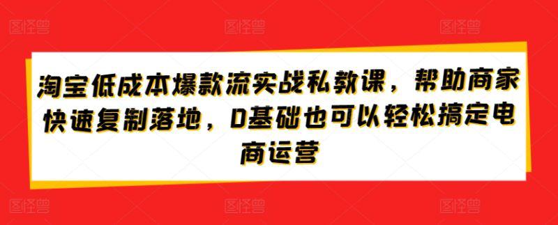 淘宝低成本爆款流实战攻略,低成本爆款打造与流量获取,0基础也可以轻松搞定电商运营 -1 淘宝低成本爆款流实战攻略,低成本爆款打造与流量获取,0基础也可以轻松搞定电商运营 -1