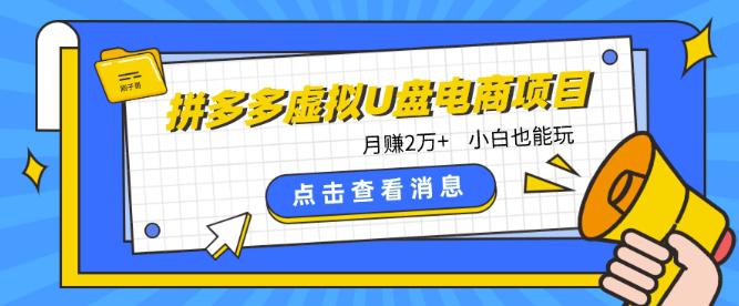 拼多多虚拟U盘电商:月赚2万+,红利项目,普通小白也能玩 -1 拼多多虚拟U盘电商:月赚2万+,红利项目,普通小白也能玩 -1