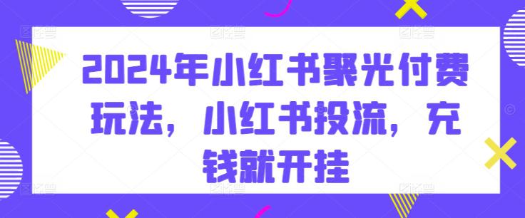 2024小红书投流:聚光付费攻略,解锁流量变现新姿势 -1 2024小红书投流:聚光付费攻略,解锁流量变现新姿势 -1