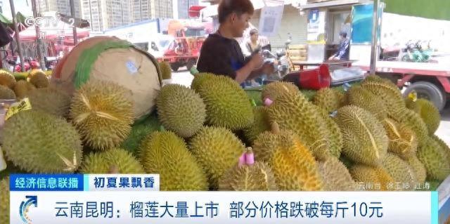 榴莲自由来了?昆明榴莲部分一斤跌破10元 榴莲自由来了?昆明榴莲部分一斤跌破10元