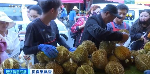 榴莲自由来了?昆明榴莲部分一斤跌破10元 榴莲自由来了?昆明榴莲部分一斤跌破10元