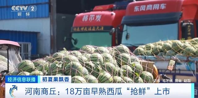 榴莲自由来了?昆明榴莲部分一斤跌破10元 榴莲自由来了?昆明榴莲部分一斤跌破10元