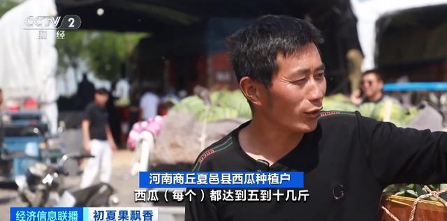 榴莲自由来了?昆明榴莲部分一斤跌破10元 榴莲自由来了?昆明榴莲部分一斤跌破10元