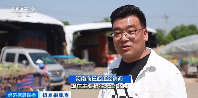 榴莲自由来了?昆明榴莲部分一斤跌破10元 榴莲自由来了?昆明榴莲部分一斤跌破10元