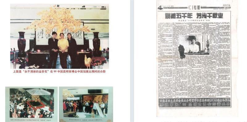 价值上亿的金茶花在银行离奇失踪?银行:事情复杂,以法院判决为准 价值上亿的金茶花在银行离奇失踪?银行:事情复杂,以法院判决为准