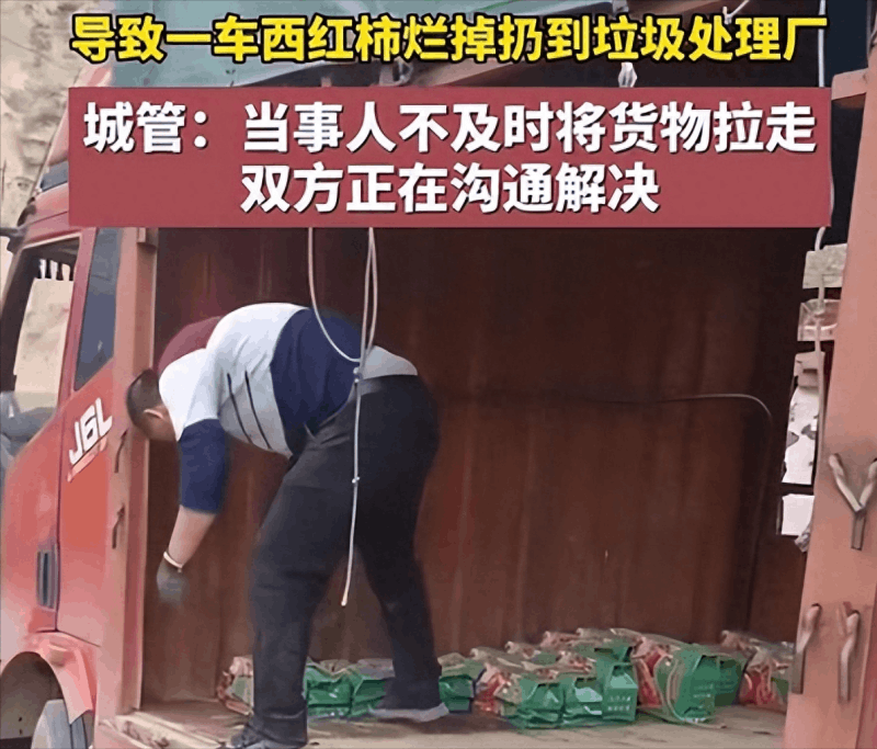 水果店主称被城管扣车致西红柿烂掉-阿灿学库