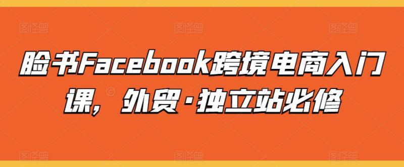 脸书FACEBOOK跨境电商入门课,外贸·独立站必修 -1 脸书FACEBOOK跨境电商入门课,外贸·独立站必修 -1