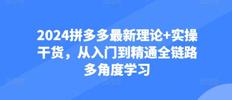 2024拼多多进阶宝典：从防比价到自然流，全攻略实操教学-阿灿学库