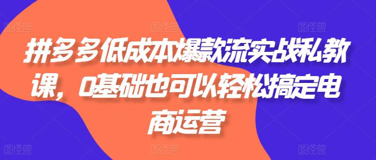 拼多多低成本爆款流实战私教课,0基础也可以轻松搞定电商运营 -1 拼多多低成本爆款流实战私教课,0基础也可以轻松搞定电商运营 -1