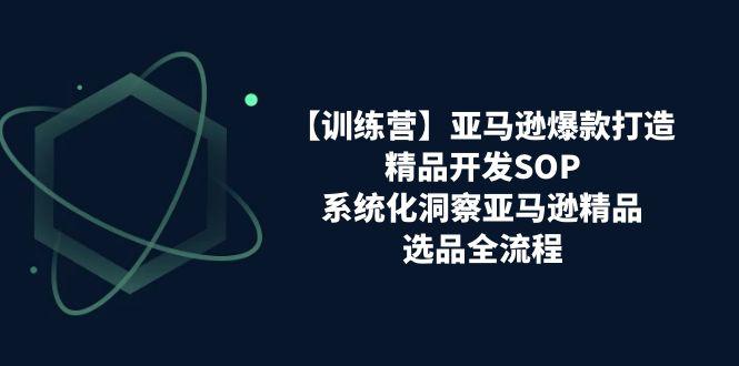 【训练营】亚马逊爆款打造之精品开发SOP，系统化洞察亚马逊精品选品全流程-阿灿学库