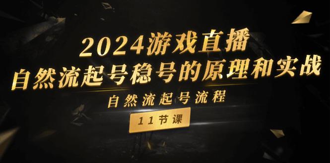 2024游戏直播-自然流起号稳号的原理和实战，自然流起号流程（11节）-阿灿学库