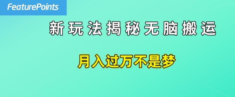 简单操作,每天50美元收入,搬运就是赚钱的秘诀【揭秘】-阿灿学库
