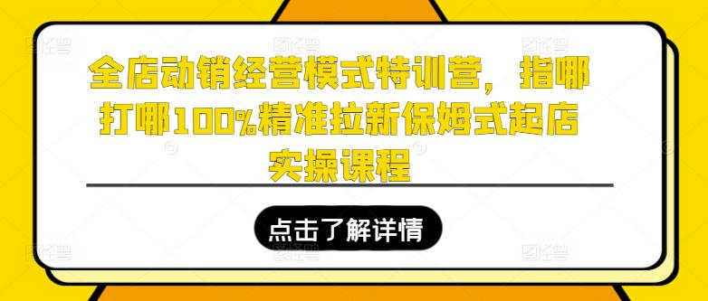 全店动销经营模式特训营,指哪打哪100%精准拉新保姆式起店实操课程 -1 全店动销经营模式特训营,指哪打哪100%精准拉新保姆式起店实操课程 -1