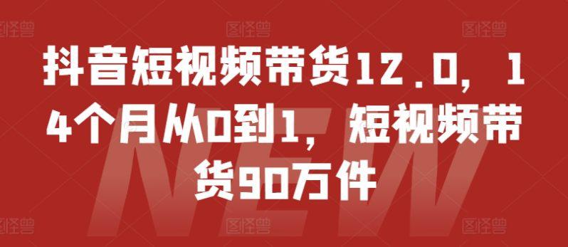 抖音短视频带货12.0,14个月从0到1,短视频带货90万件 -1 抖音短视频带货12.0,14个月从0到1,短视频带货90万件 -1