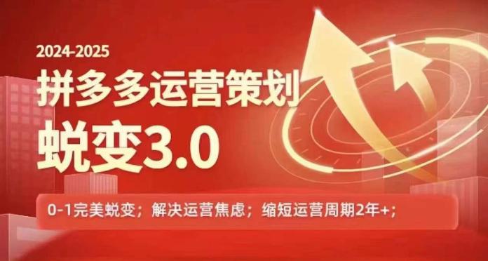 2024-2025拼多多运营策略蜕变3.0，0~1完美蜕变，解决信息焦虑-阿灿学库