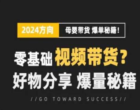 短视频母婴赛道实操流量训练营,零基础视频带货,好物分享,爆量秘籍 -1 短视频母婴赛道实操流量训练营,零基础视频带货,好物分享,爆量秘籍 -1