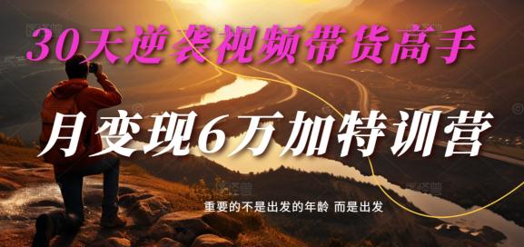 30天逆袭视频带货高手,单月变现6万加特训营-麦子甜 30天逆袭视频带货高手,单月变现6万加特训营-麦子甜