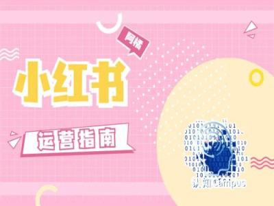 小红书运营指南,没有套路,全是经验 -1 小红书运营指南,没有套路,全是经验 -1