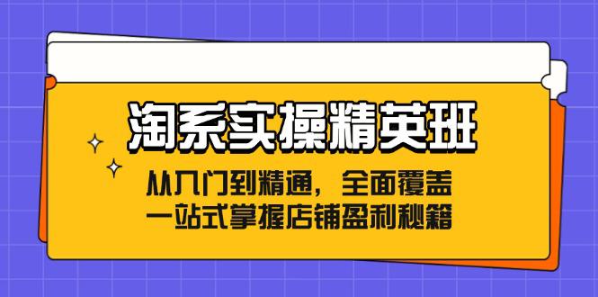 淘系实操精英班：从入门到精通，全面覆盖，一站式掌握店铺盈利秘籍-阿灿学库