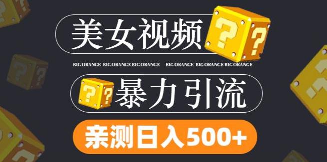 搬运TK美女视频全网分发，日引S粉300+，轻松变现，不限流量不封号【揭秘】-阿灿学库